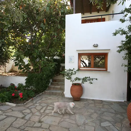 Apartamento Anemoessa *