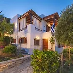 ανεμόεσσα Μπατσί