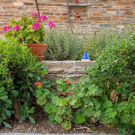 Anemoesa Apartment Batsi