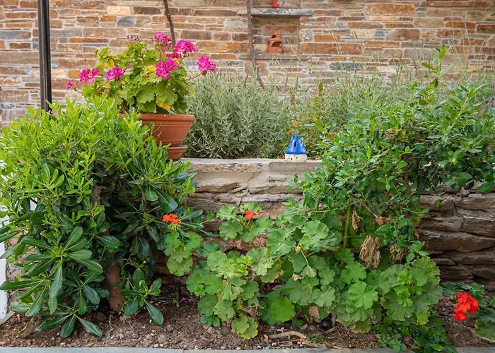 Anemoesa アパート バトシ