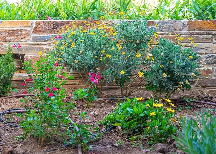 Anemoesa アパート *